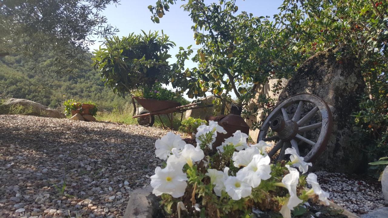 B&B Casa Vacanza Centro Sardegna Sorgono Экстерьер фото