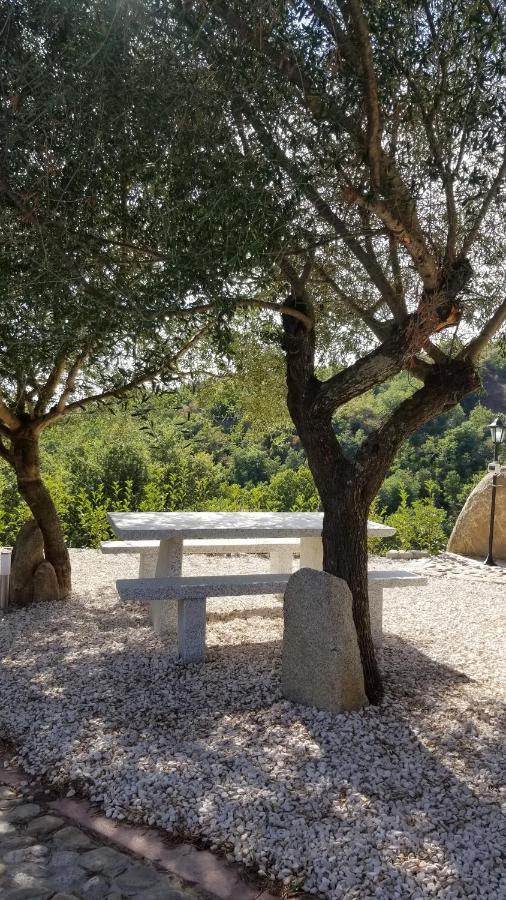 B&B Casa Vacanza Centro Sardegna Sorgono Экстерьер фото