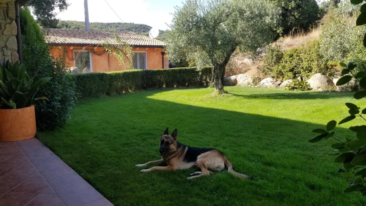 B&B Casa Vacanza Centro Sardegna Sorgono Экстерьер фото